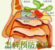 前列腺疾病技術護理