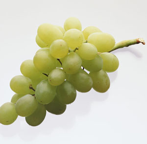 扁桃體一直都大有害嗎?