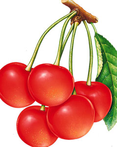 感冒鼻塞怎么辦?