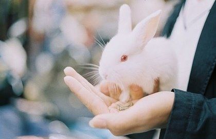 晚上睡覺打呼怎么辦