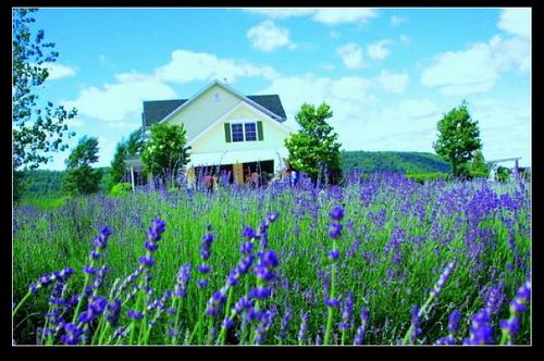 急性早泄的癥狀?急性早泄怎么治療效果好?西寧男科專科醫院