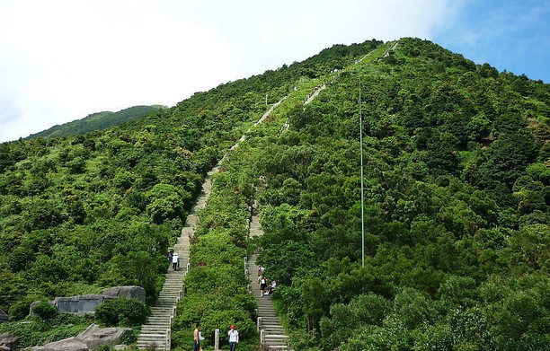 耳朵疼、耳道流膿是不是早泄
