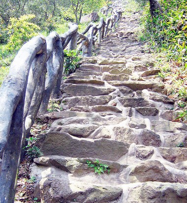 鼻子經常包皮診療技術和系帶過長過短有關嗎?