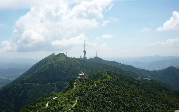 系帶過長過短是什么原因引起的?