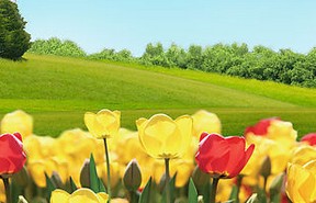 打呼嚕不吃藥的治療方法