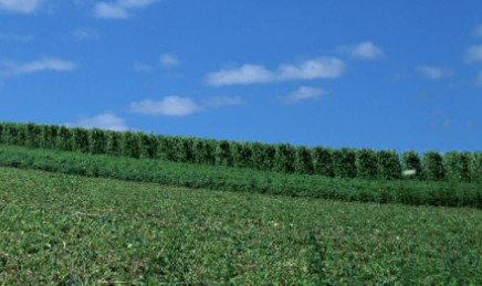 膀胱炎會(huì)有什么癥狀表現(xiàn)呢?